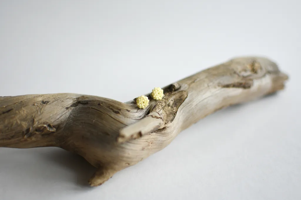 Серьги-гвоздики из бисера